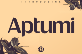Aptumi: The Font That Elevates Every Handmade Detail