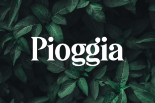 Pioggia: A Modern Display Font for Bold Branding