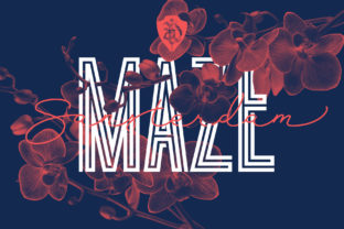Sansterdam Maze: A Bold Display Font with Character