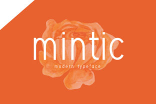 Testing Mintic: A Fresh Display Font for Modern Web Projects